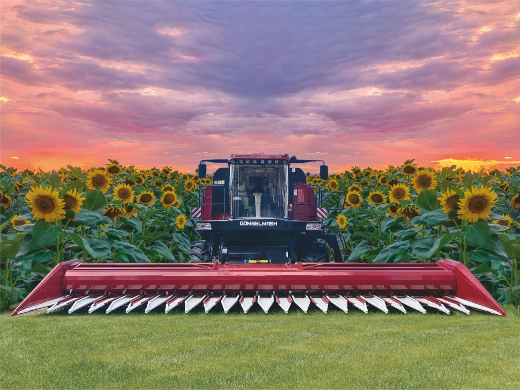 жбп календарь.png