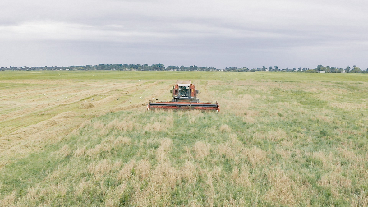 Жатка для уборки сои ЖЗС-7,5-2