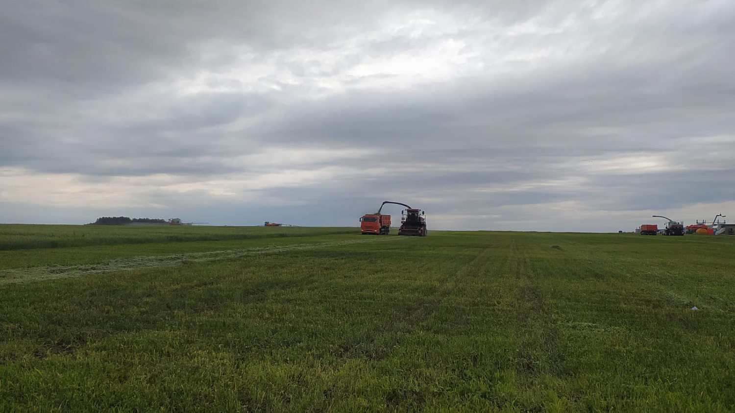 День поля - 2021 в Челябинске