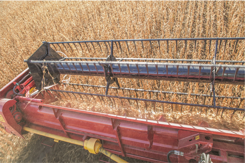 Жатка для уборки сои ЖЗС-7,5-2